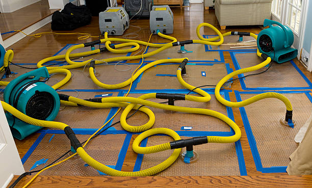 Professional Crawl Space Water Removal technician working in Maringouin, LA